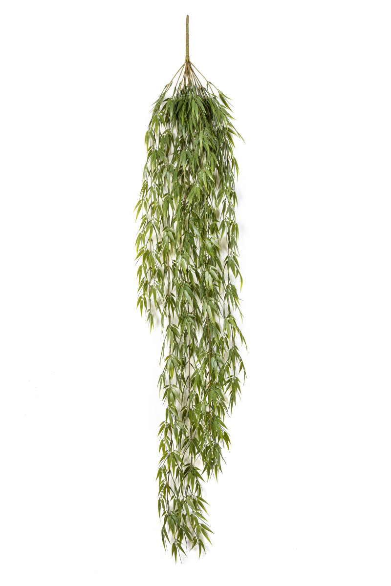 Bamboe Hang Bush H: 115 cm