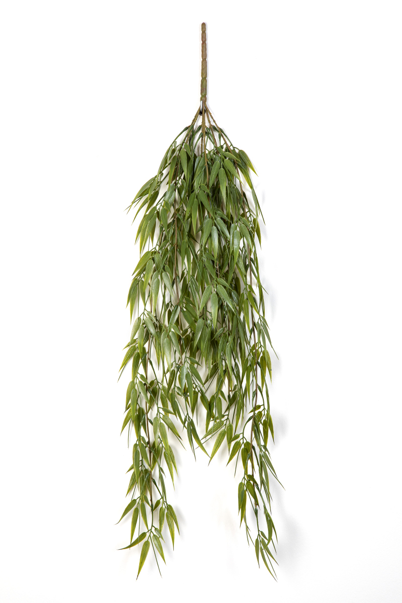 Bamboe Hang Bush H: 60 cm