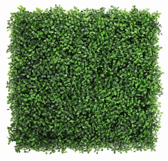 Buxus Fijn Mix Green L: 50cm, B: 50cm