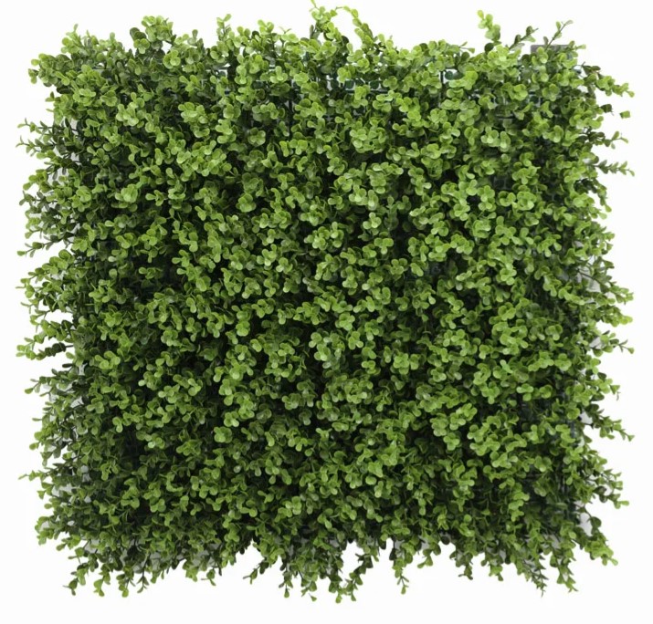 Buxus Grof Donker, B: 50 cm, L: 50cm, UV & Waterproof