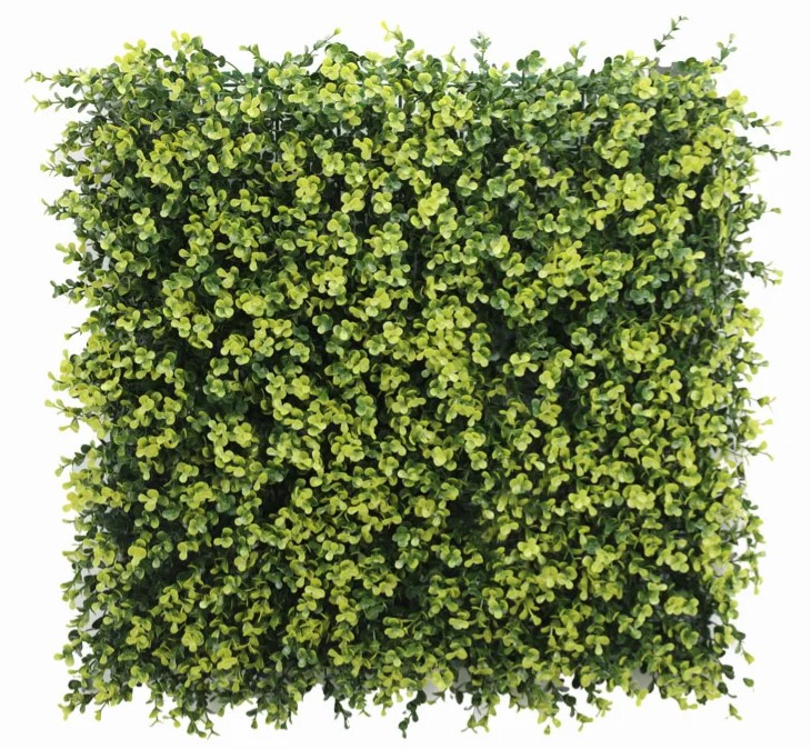 Buxus Grof Geel, B: 50 cm, L: 50cm, UV & Waterproof