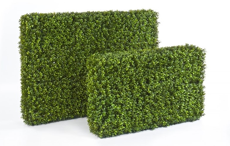 Buxus Hedge H: 55 x B: 95 cm