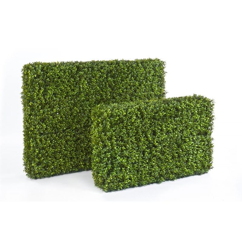 Buxus Hedge H: 90 B: 120 Cm