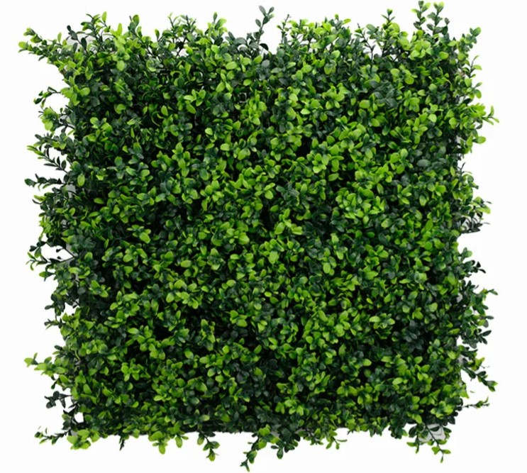 Buxus Japonicus, B: 50 cm, L: 50cm, UV & Waterproof