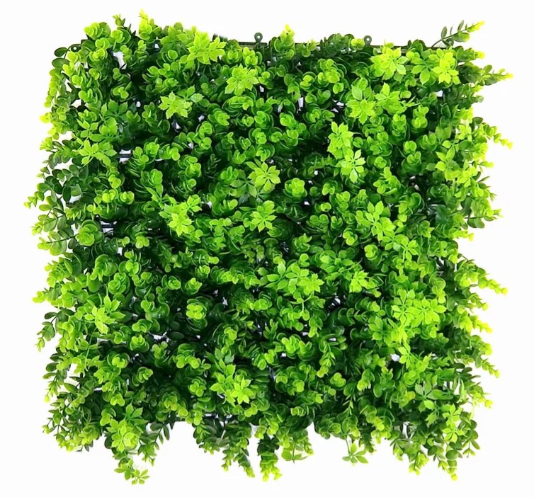 Buxus Vegetatie, B: 50 cm, L: 50 cm, UV & Waterproof