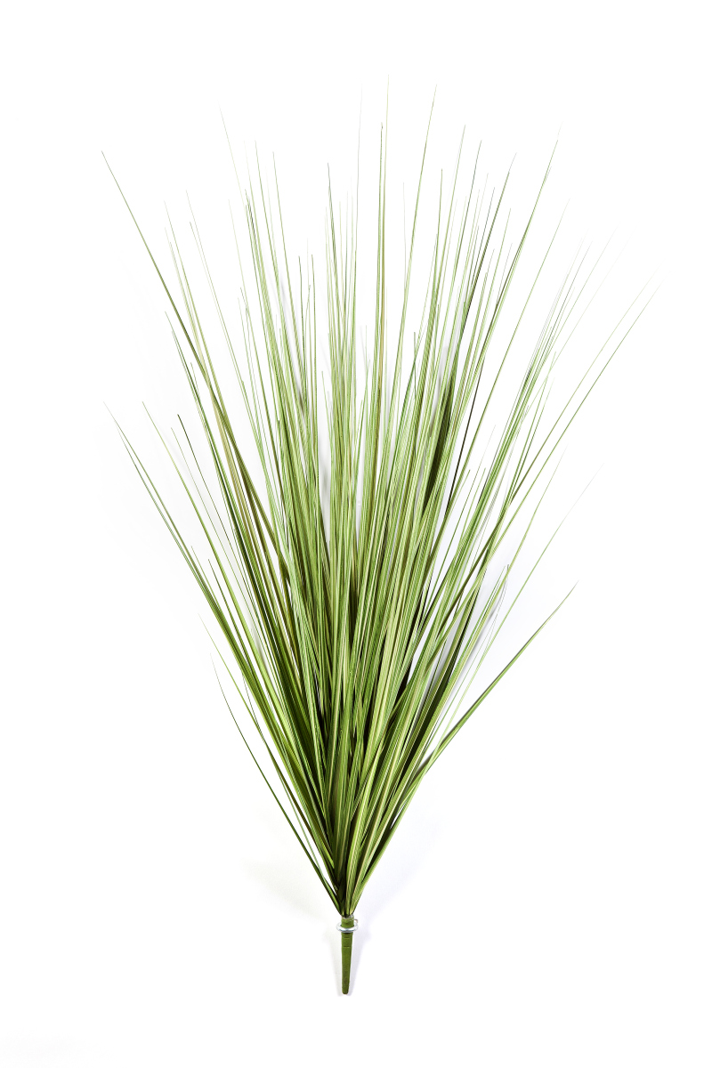 Care  Gras Pick Variagated  H: 100 cm