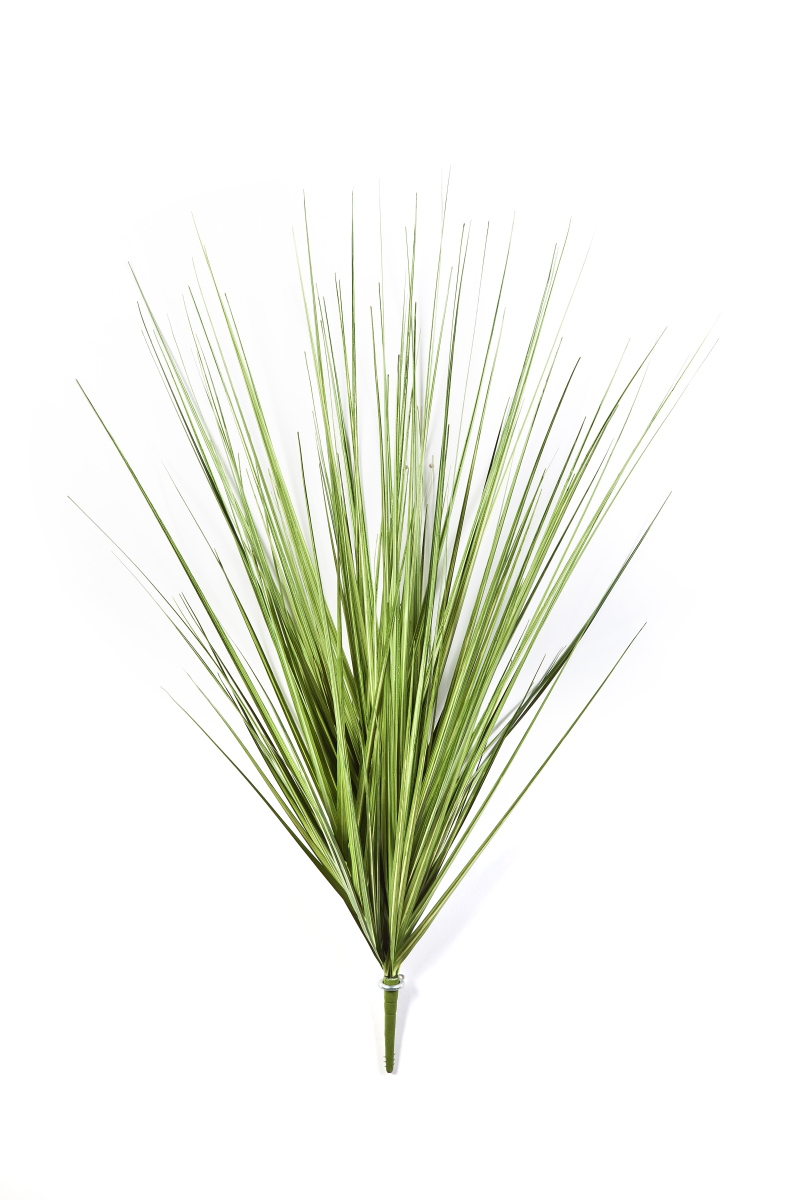 Care  Gras Pick Variagated  H: 80 cm