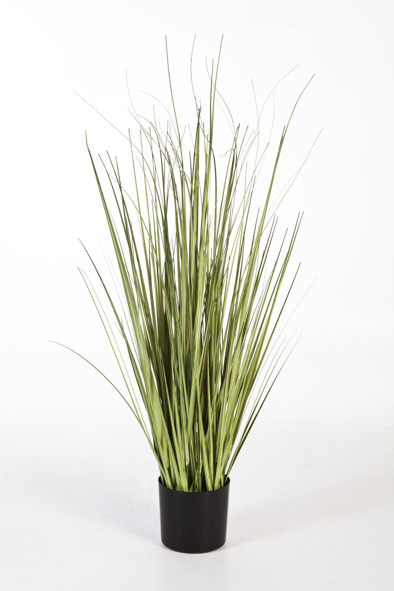 Care Gras - Variagated  H: 90 cm