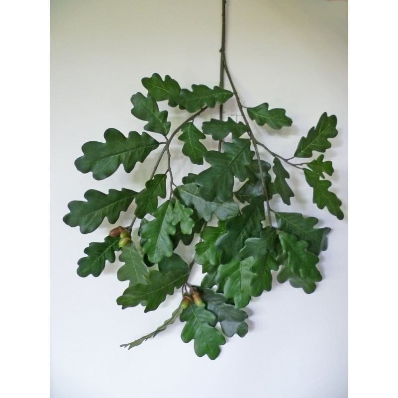 Common Oak Bladtak - Vlamvertragend H: 60 cm