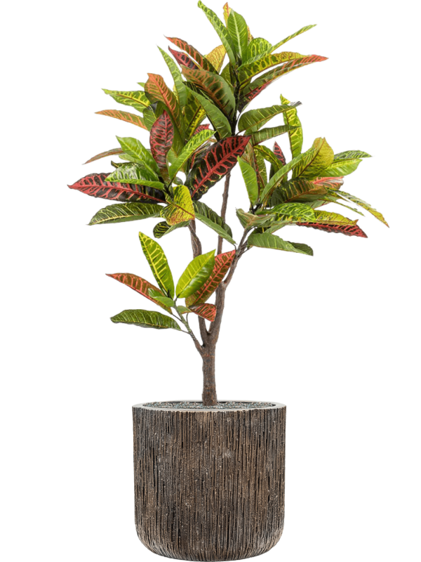 Croton in Baq Luxe Lite Universe Waterfall, Zijde verlijmd, diam: 40cm, H: 131cm