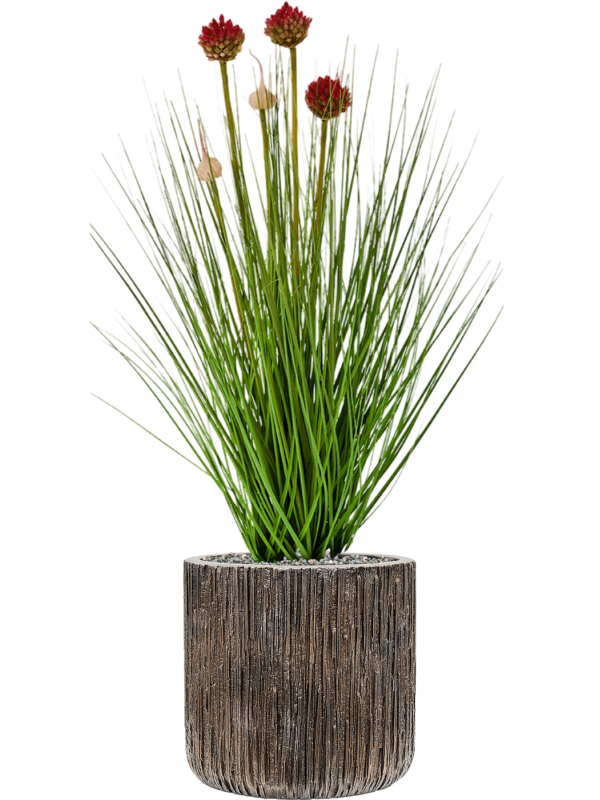 Grass Allium in Baq Luxe Lite Universe Waterfall, Zijde verlijmd, diam: 23cm, H: 71cm