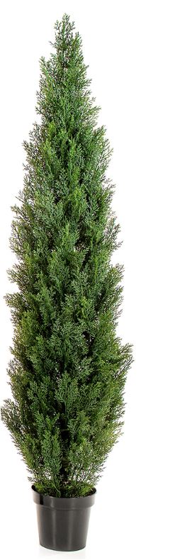 Groen Cedar Boom - Uv Bestendig H: 180 cm Aantal bladeren:  stuks,