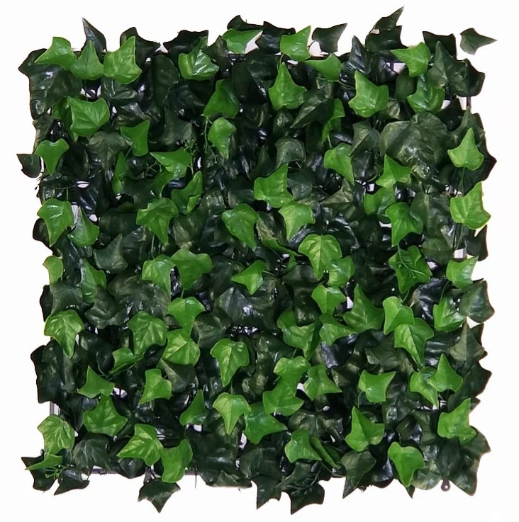 Hedera, B: 50cm, L: 50cm, UV & Waterproof