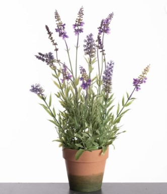 Lavendel in pot 44 cm paars UV & Waterproof