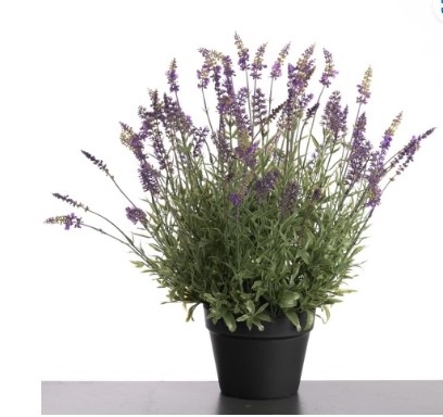 Lavendel in pot 58 cm paars UV & Waterproof