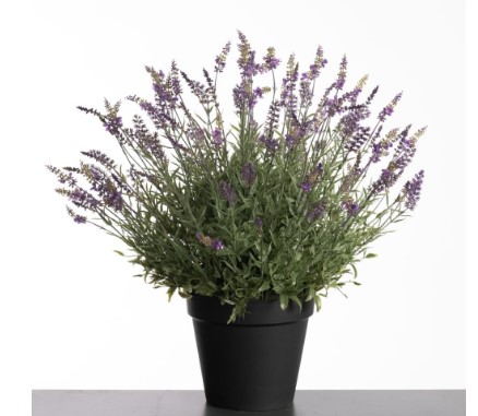 Lavendel in pot 69 cm paars UV & Waterproof