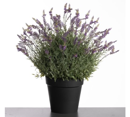 Lavendel in pot 71 cm paars UV & Waterproef