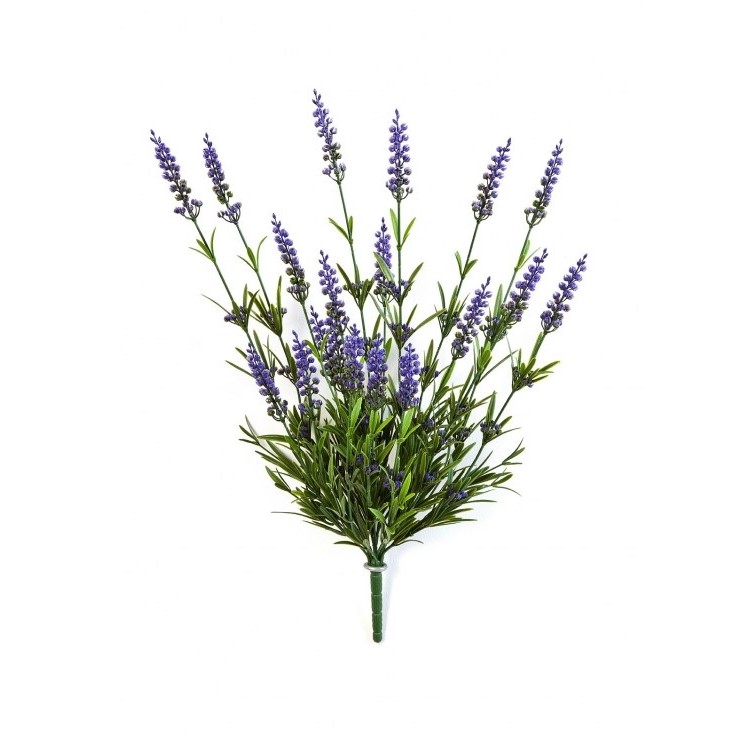 Lavender Bush  - Paars H: 52 cm