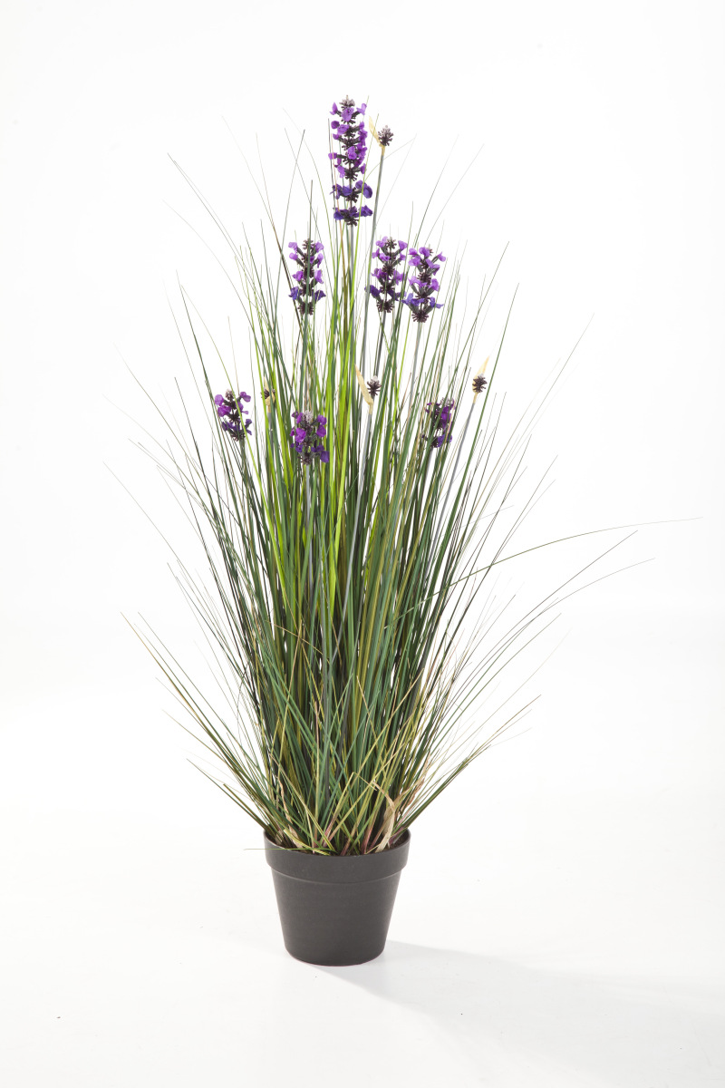 Lavender Gras H: 90 cm