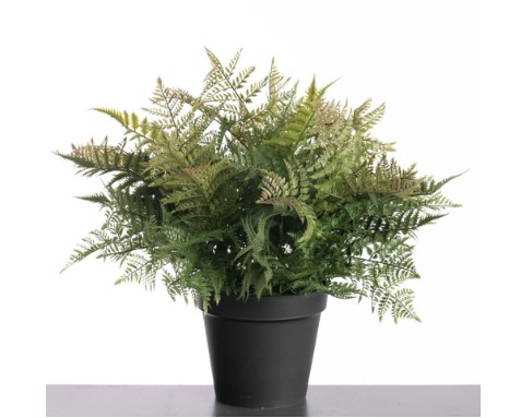 Leather Fern 74 cm UV & Waterproef