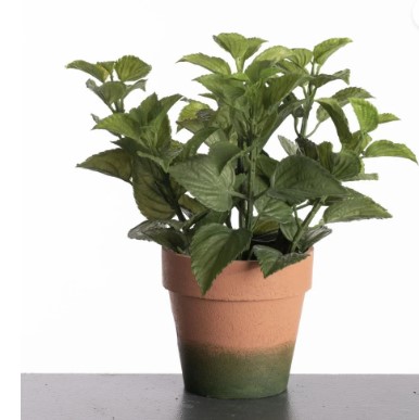 Mint in pot 27 cm UV & Waterproef