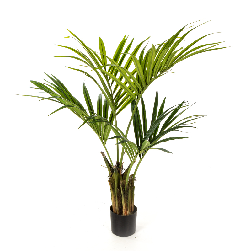 Natuurlijke Kentia Palm H: 110 cm