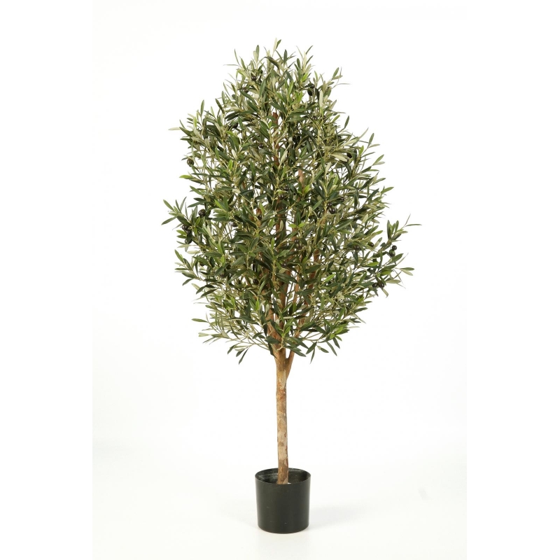 Natuurlijke Olijf Bol Boom H: 170 cm