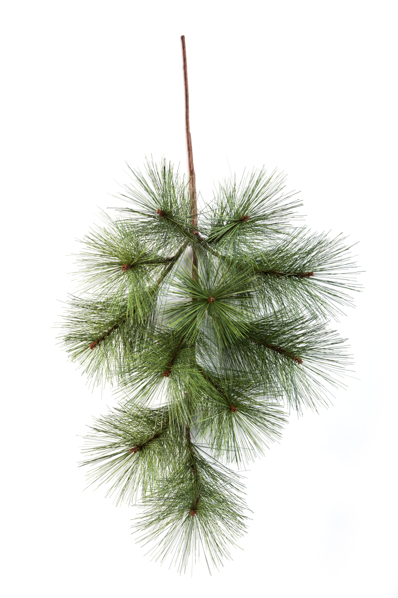 Needle Pine Bladtak H: 70 cm