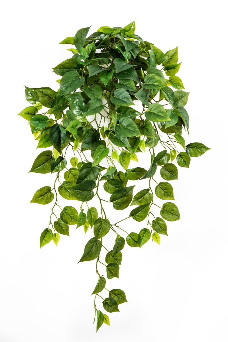 Philo Hang Bush H: 85 cm