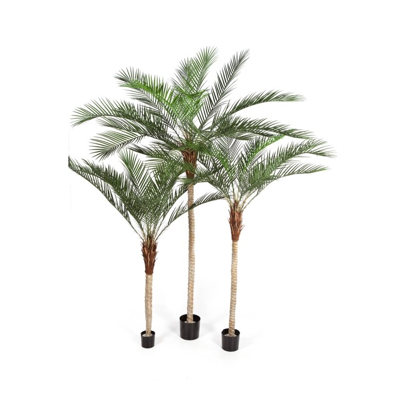 Phoenix Palm Plastic Blad H: 180 cm