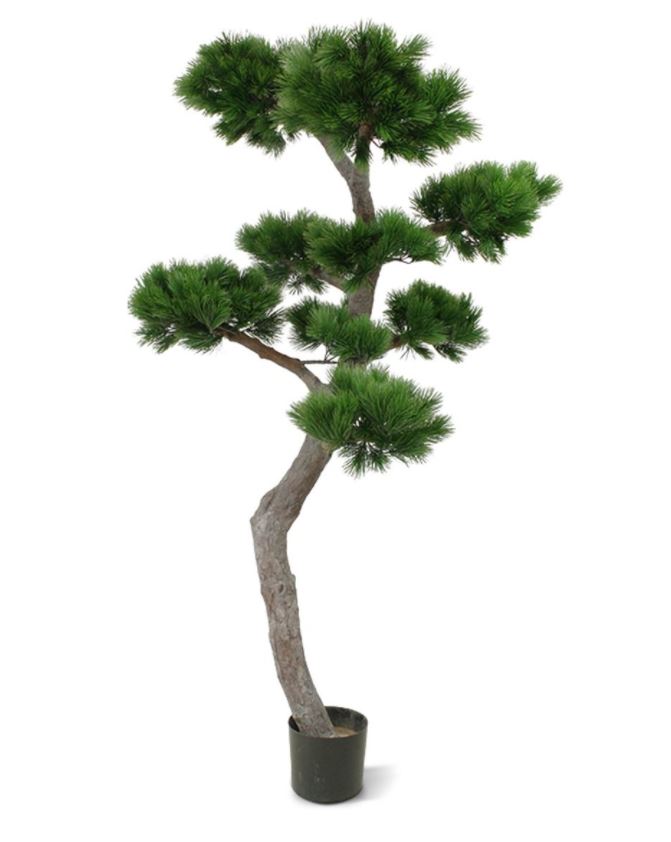 Pinus Bonsai XL Kunstboom 200cm