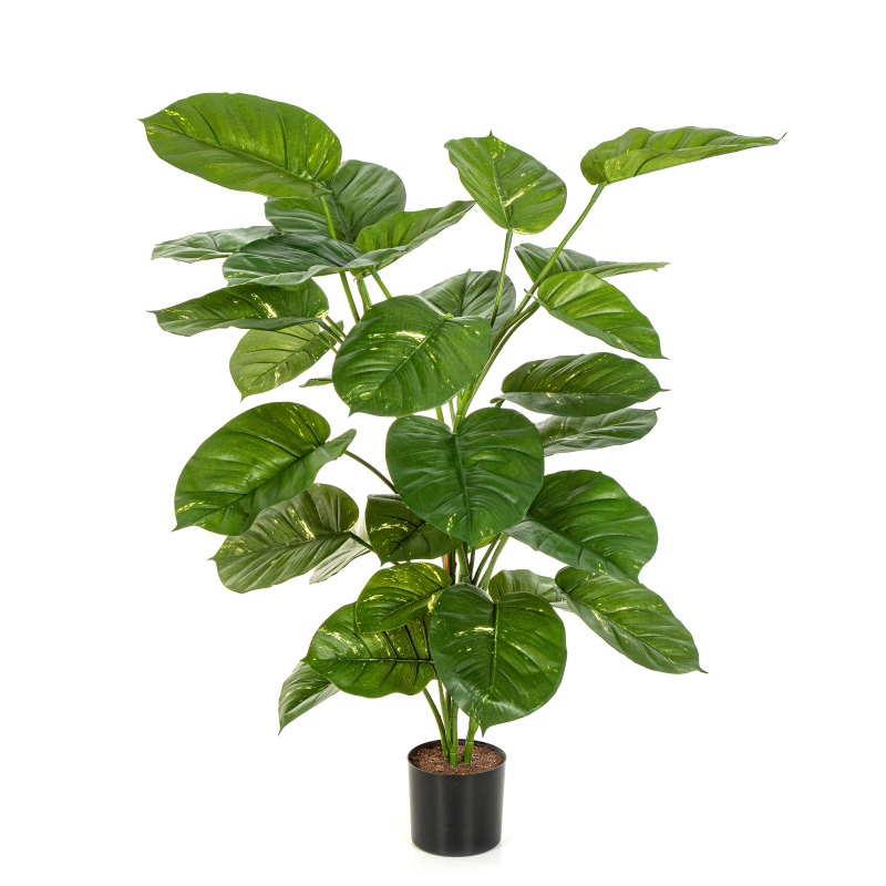 Pothos Plant Groot Blad H: 115 cm