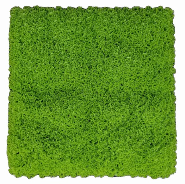 Rendier Mos Soft Green – L: 50, B: 50cm