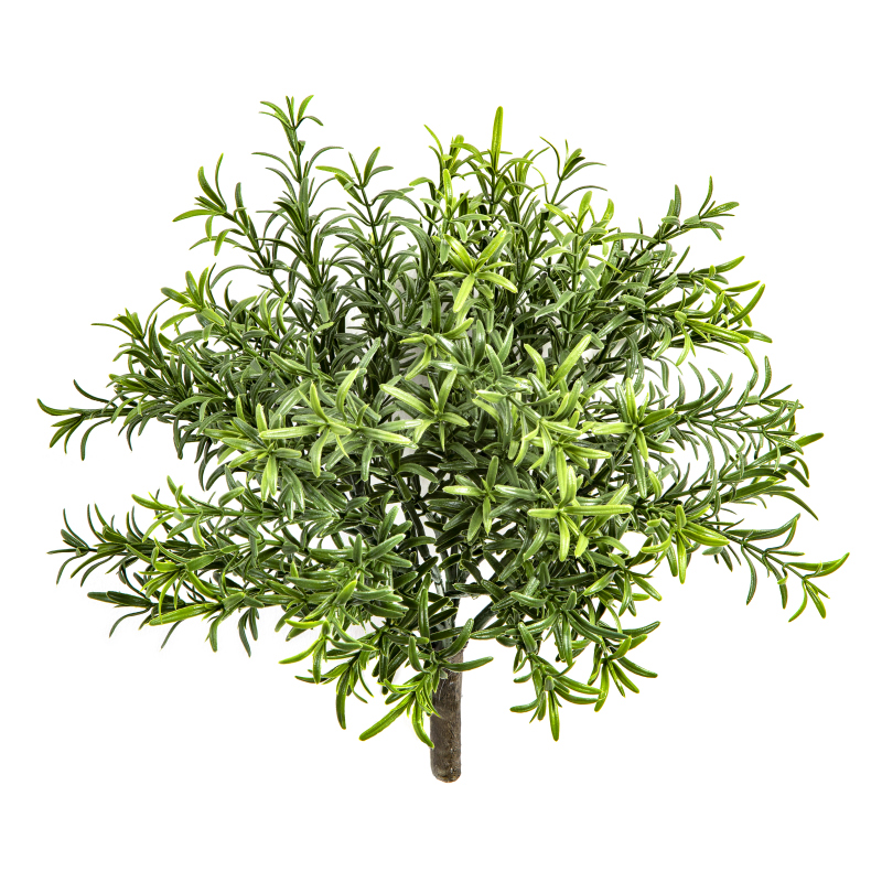 Rosemary Bush - Uv Bestendig H: 32 cm