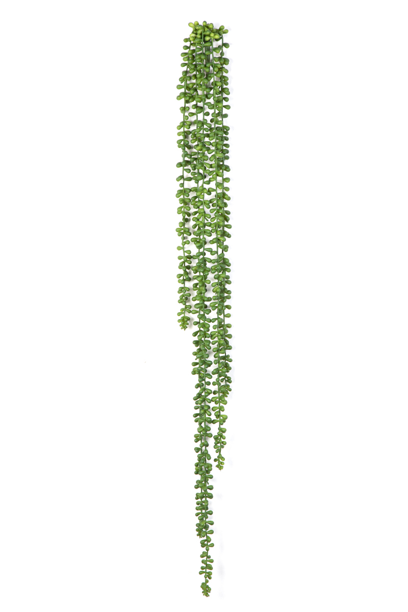 String Of Pearls Hang Bush H: 90 cm