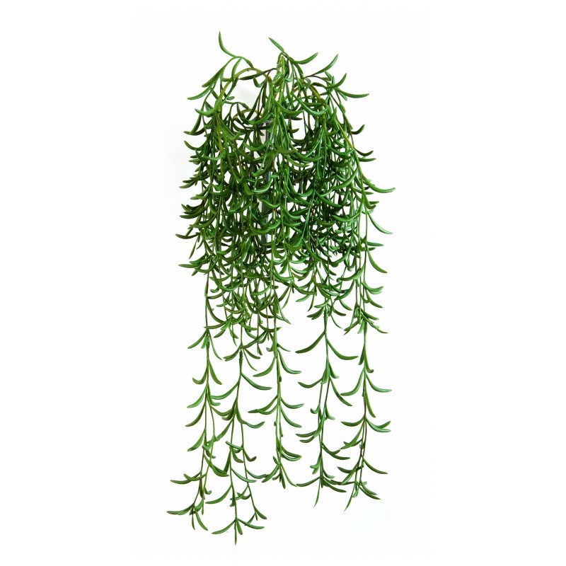 Succulent Hang Bush H: 45 cm