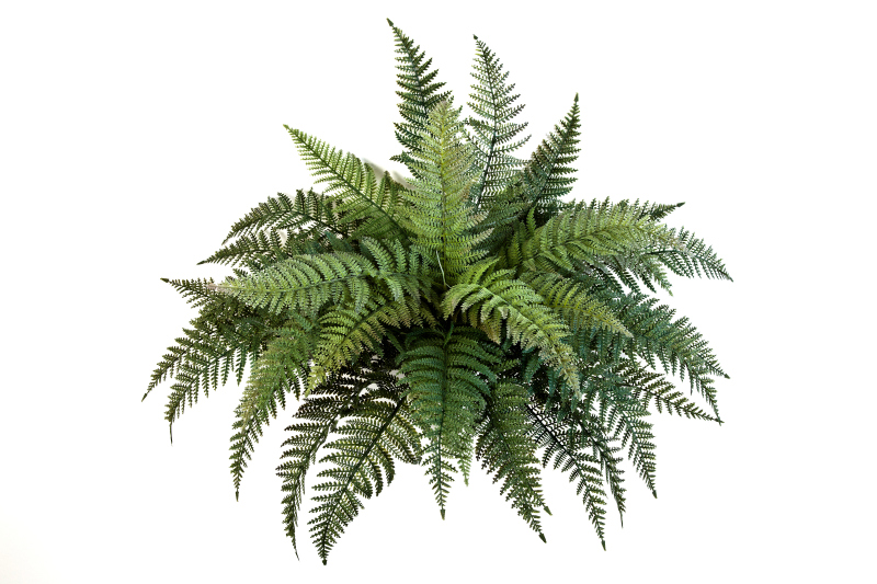 Variagated Bush - Plastic H: 70 cm