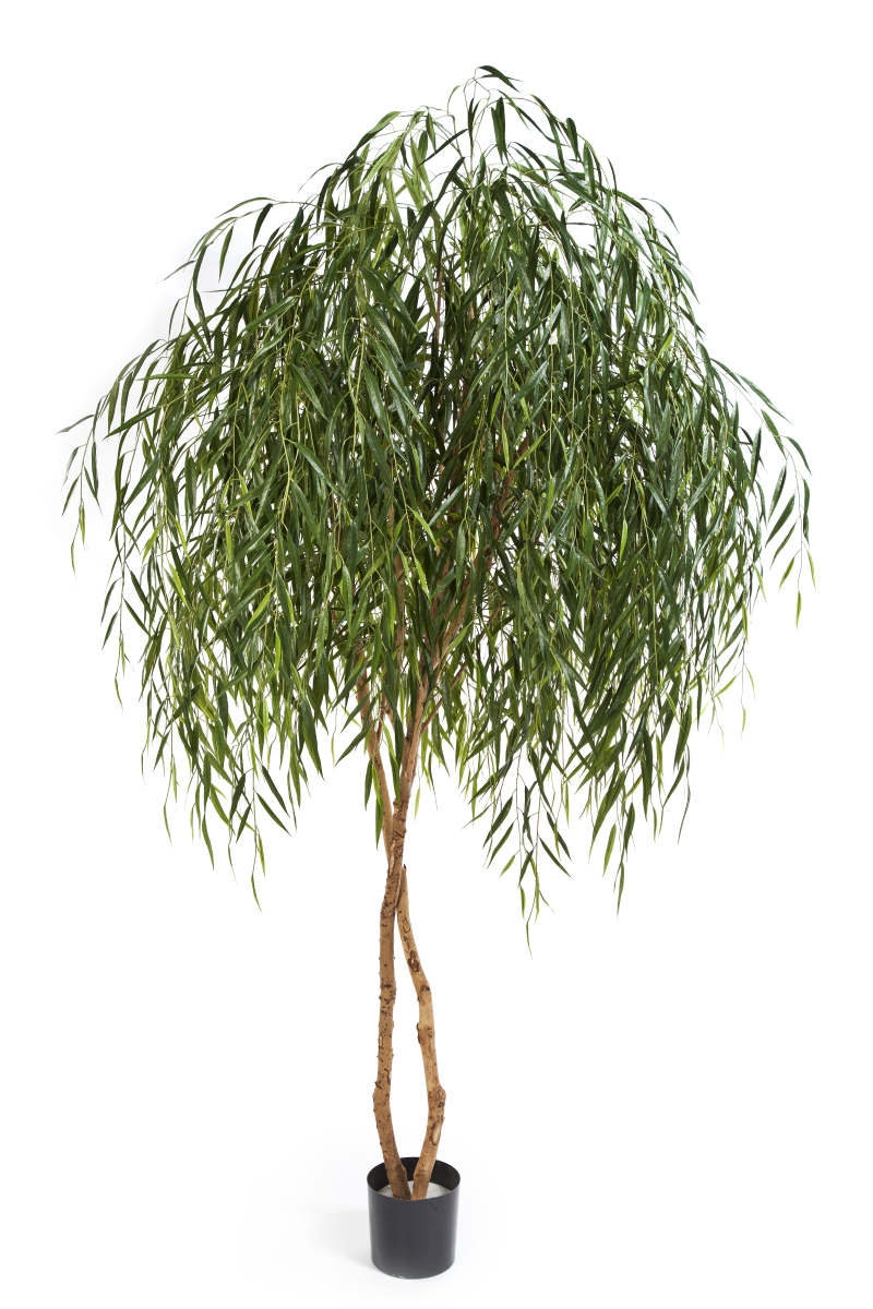 Willow Boom H: 240 cm