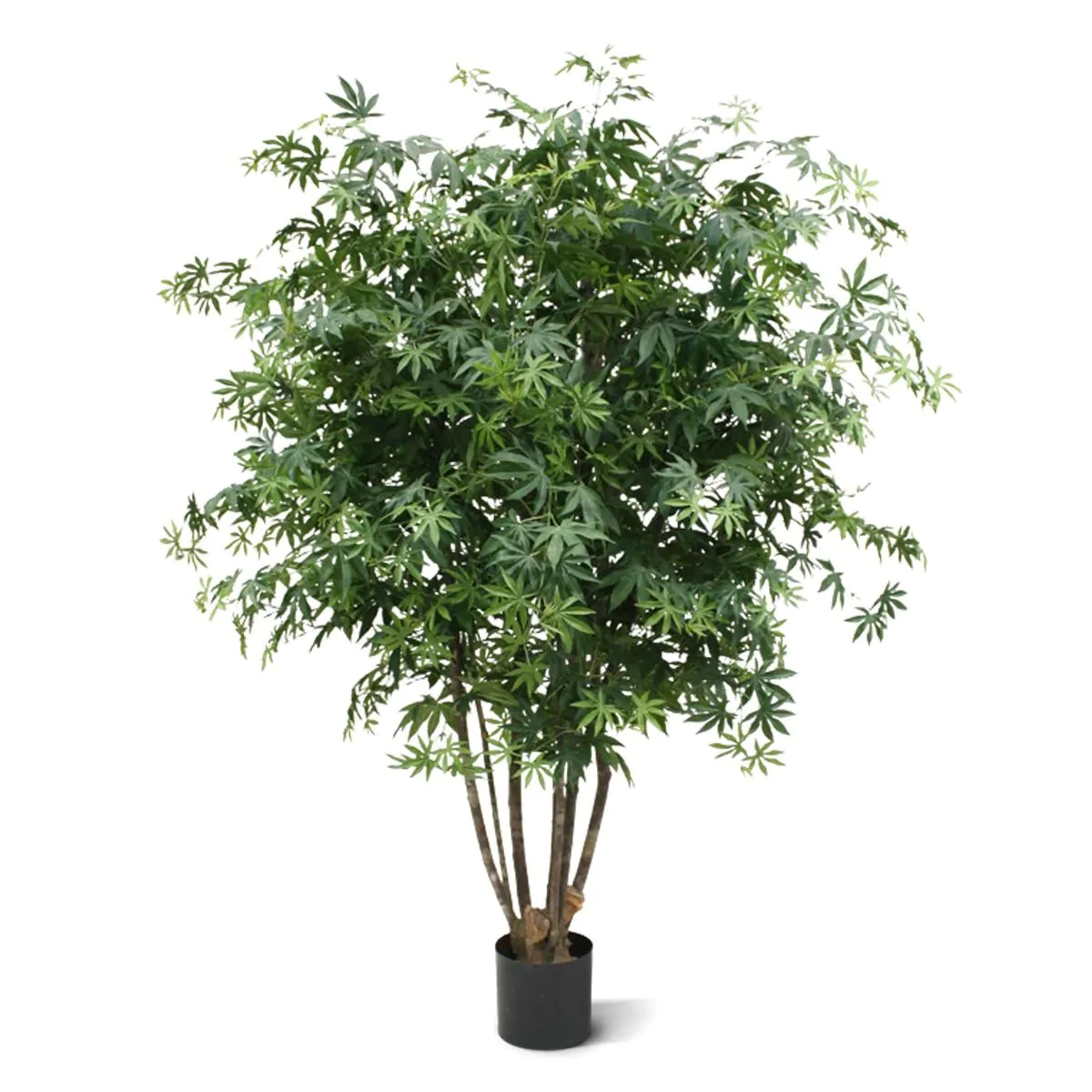 Acer Maple deluxe kunstboom, H: 165 cm