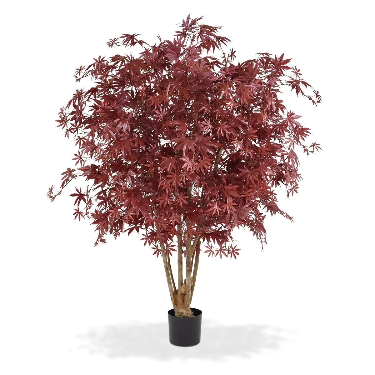 Acer Maple deluxe kunstboom, H: 165 cm