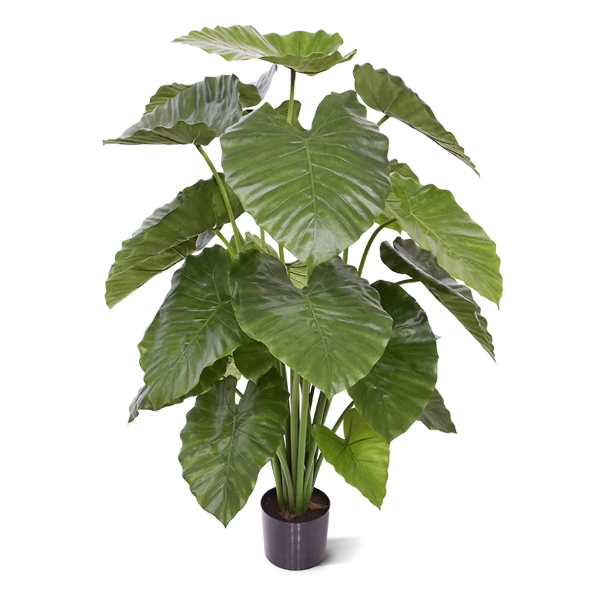 Alocasia Calidora kunstplant H: 115 cm