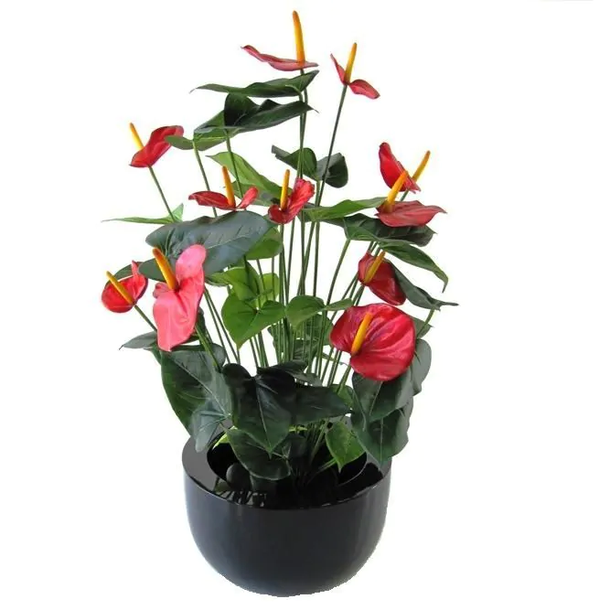 Anthurium deluxe kunstplant, H: 80 cm, exclusief pot