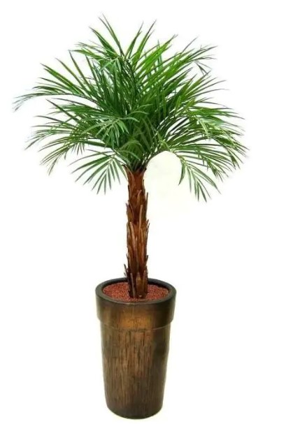 Areca kunstpalm op stam 175cm