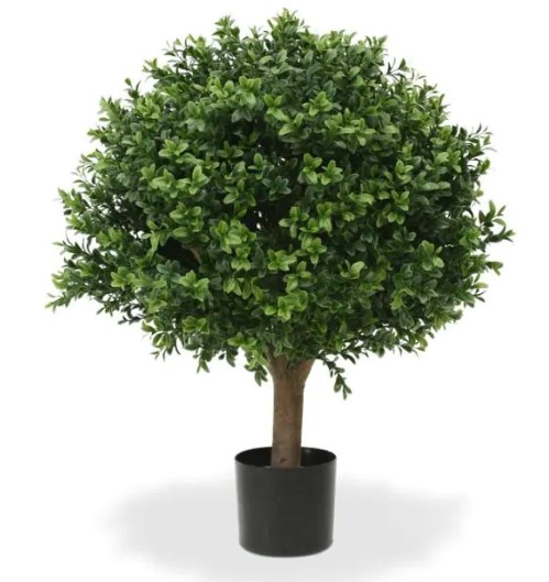 Buxus Bol de luxe 40cm UV