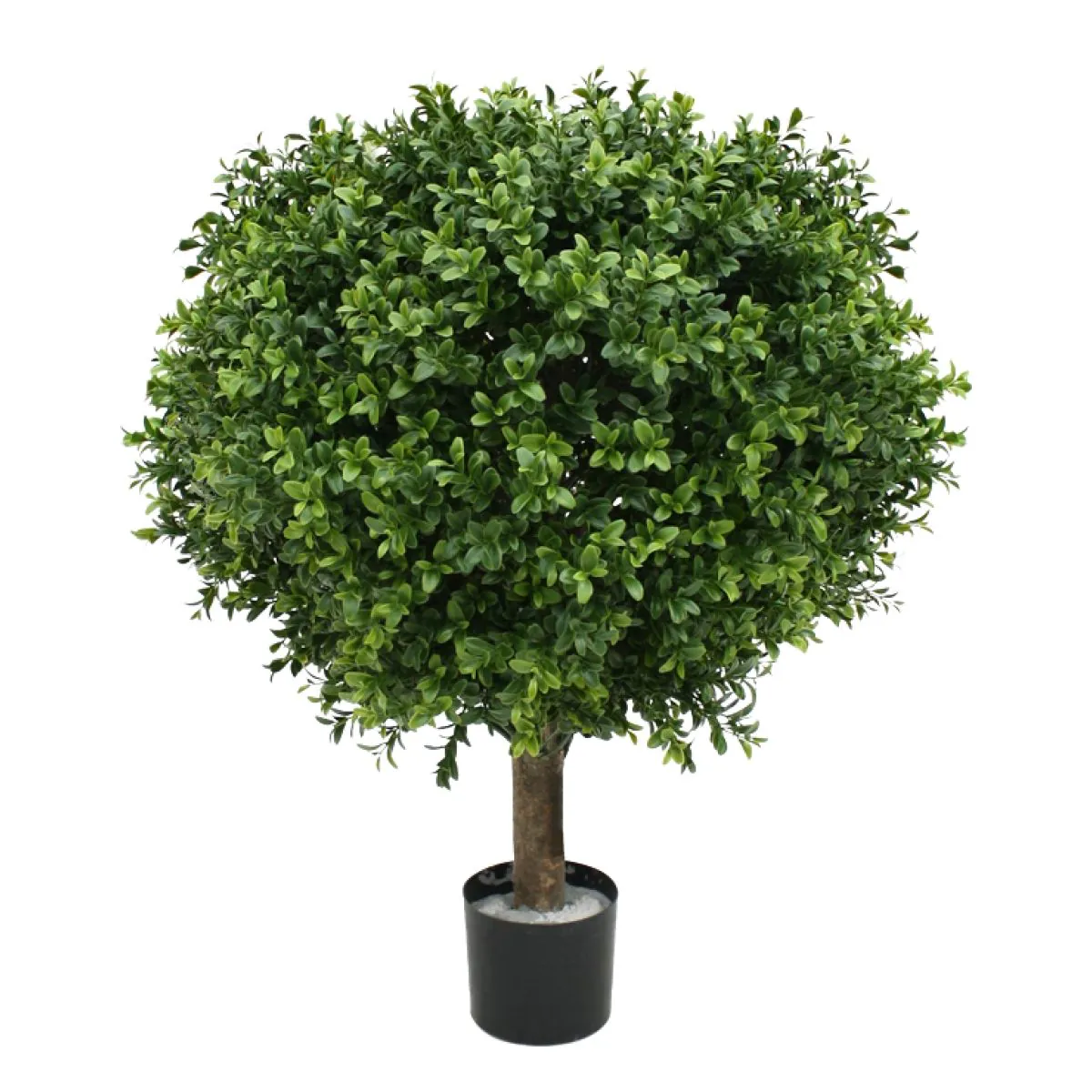 Buxus Bol de luxe, H: 50 cm UV