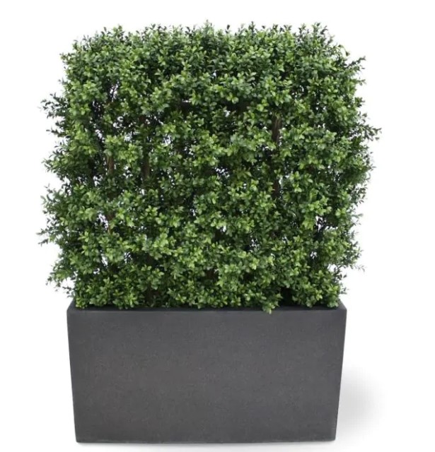 Buxus deluxe kunstheg 80x100cm