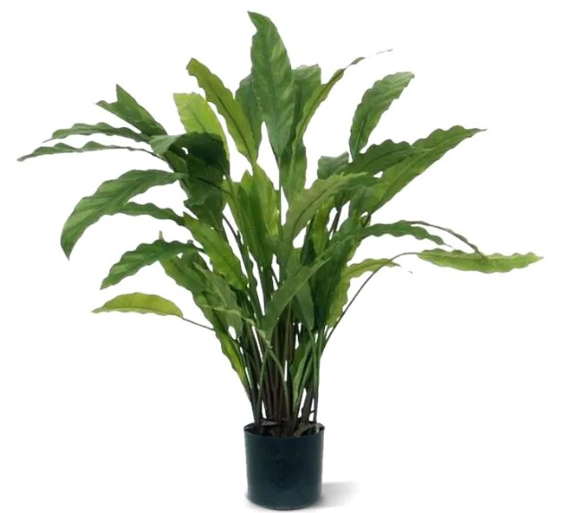 Calathea kunstplant 60cm - groen