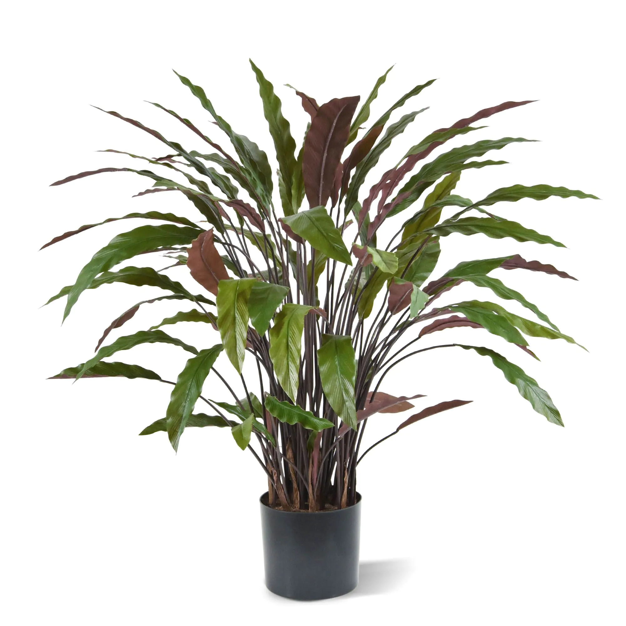 Calathea kunstplant, H: 85 cm