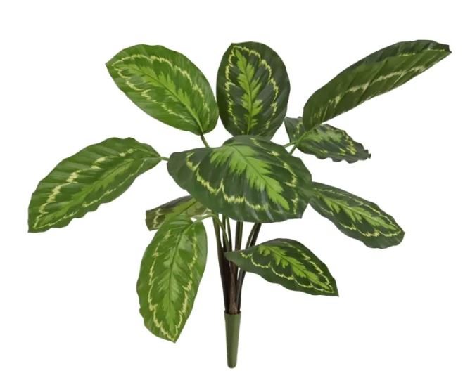 Calathea Roseopicta Kunstplant 50cm