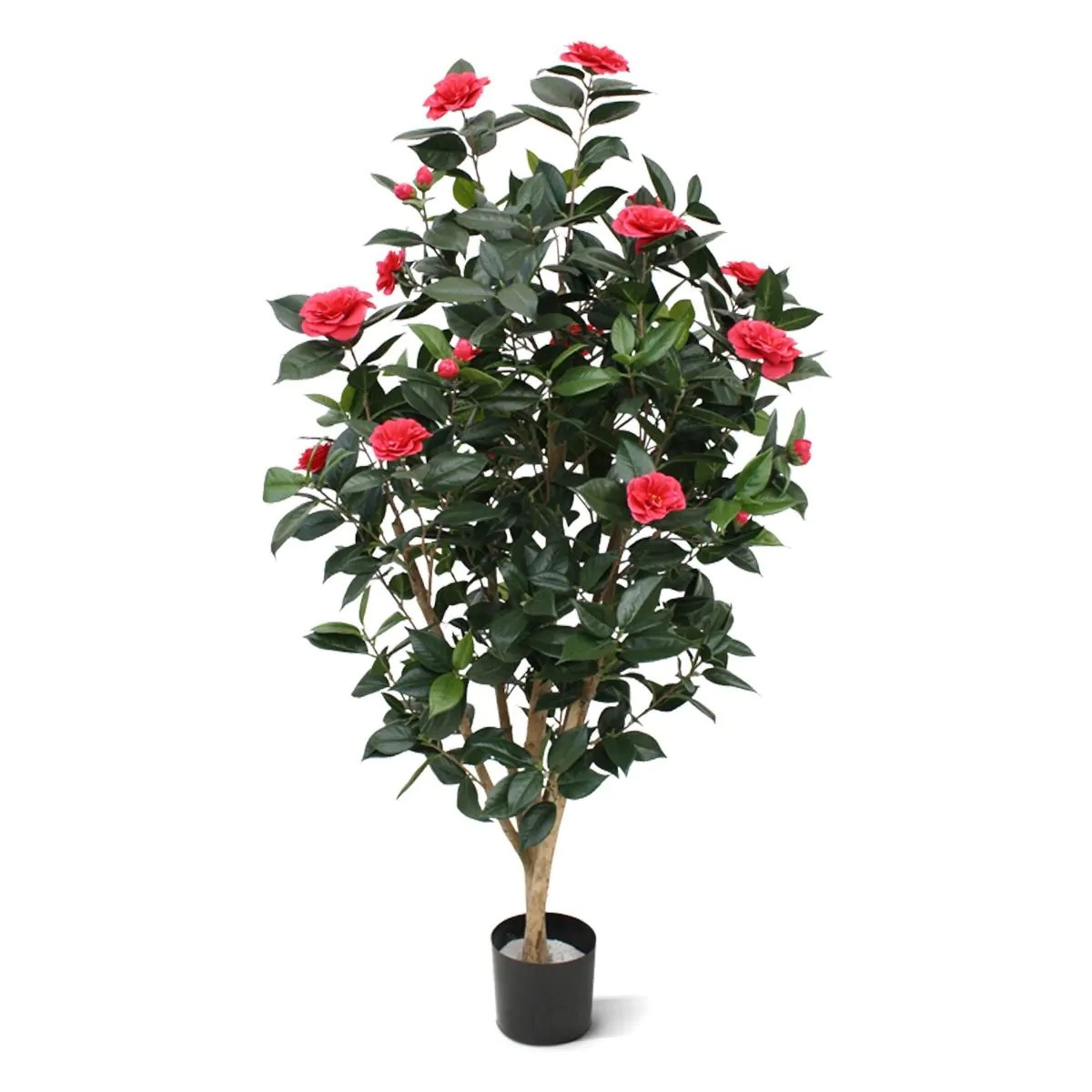 Camelia Japonica deluxe kunstplant, H: 150cm